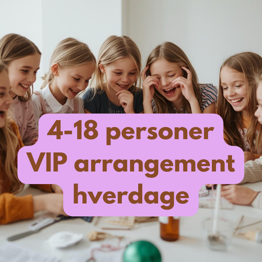 4-18 personers VIP arrangement - per person hverdage
